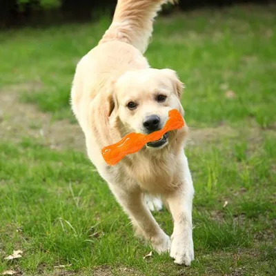 噛みにくいおもちゃ テニスボール 犬用ペットおもちゃ 10個セット その他のペット用品 噛むおもちゃ